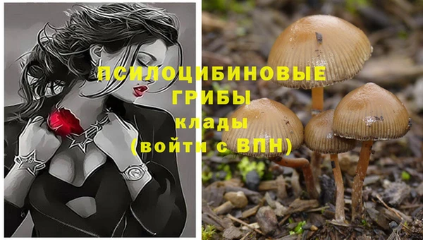 винт Алексеевка