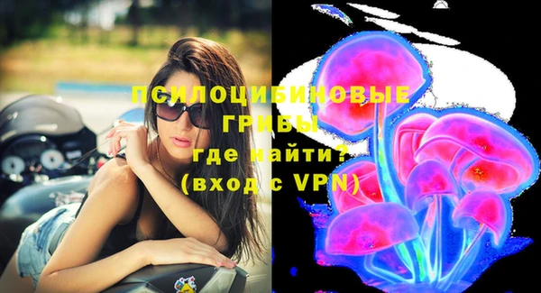 винт Алексеевка