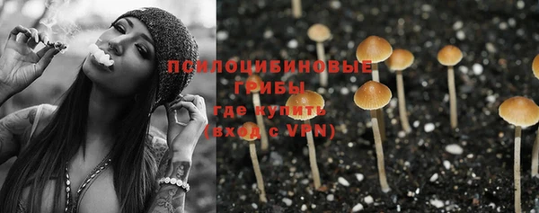 дживик Алзамай