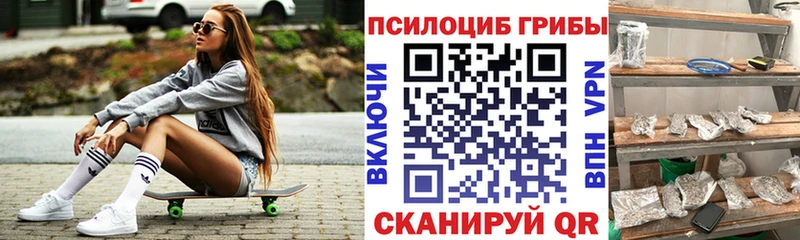 Псилоцибиновые грибы Psilocybe  Железногорск 