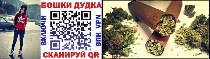 omg как войти  Железногорск  МАРИХУАНА SATIVA & INDICA 